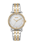 DKNY Evening -Astoria Glitz Two-Tone Stainless Steel 32mm Watch
