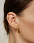 Ania Haie Gold Chubby Medium Huggie Hoop Earrings