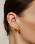 Ania Haie Gold Chubby Medium Huggie Hoop Earrings