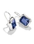 Earrings with nanocrystal in octagon cut