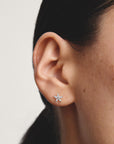 Stud earrings flower with zirconia