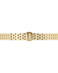 Daniel Wellington 5-Link Strap Gold