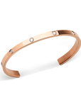 Daniel Wellington Classic Lumine Bracelet Rose Gold 5.5 mm