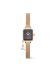 Daniel Wellington Quadro Mini Crystal Zodiac Evergold Watch