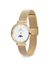 Daniel Wellington Petite Lune Evergold Watch