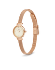 Daniel Wellington Petite Mini Champagne Melrose Watch 19mm