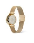 Daniel Wellington Petite Lune Evergold Watch