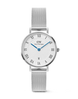 Daniel Wellington Petite Roman Numerals Date Silver
