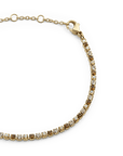 Daniel Wellington Classic Tennis Bracelet Honey Combo Gold