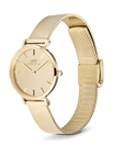 Daniel Wellington Petite Reflection Gold Watch
