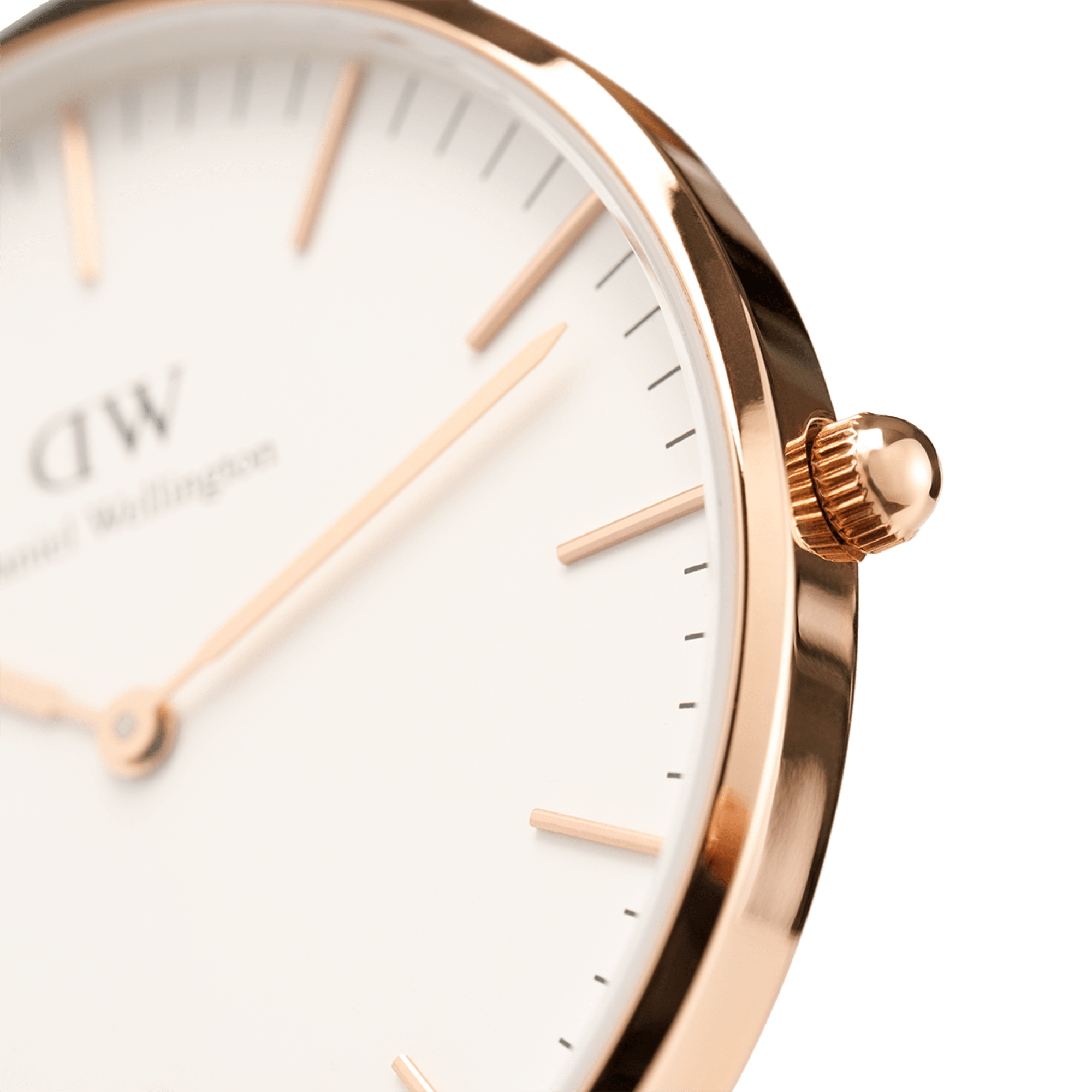 Daniel Wellington Classic 36 Dover Rose Gold & White Watch Sass & Co
