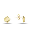9CT SHELL STUD EARRINGS