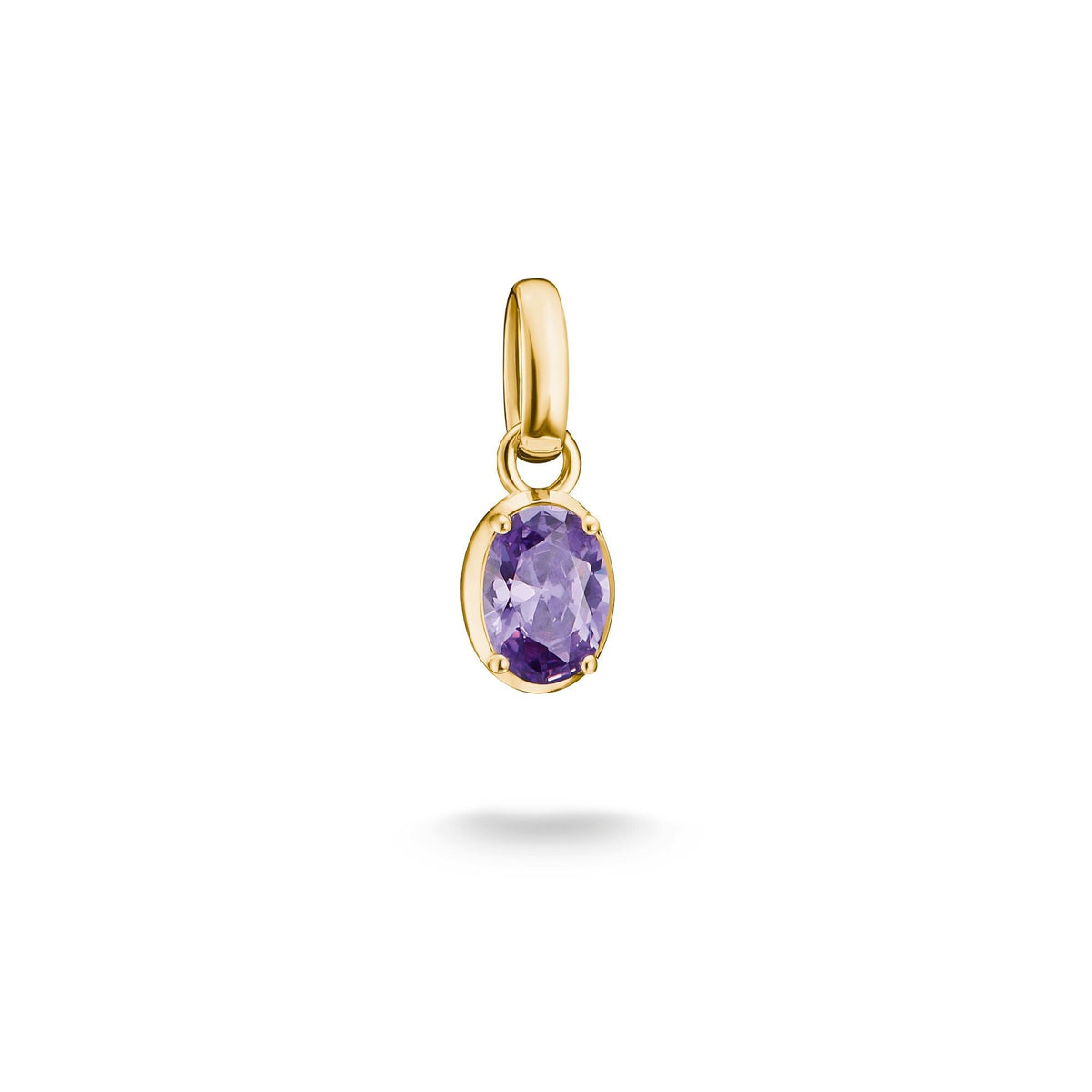 Gold-Plated February Birthstone Charm