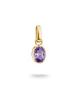 Gold-Plated February Birthstone Charm