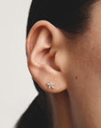 Stud earrings flower with zirconia