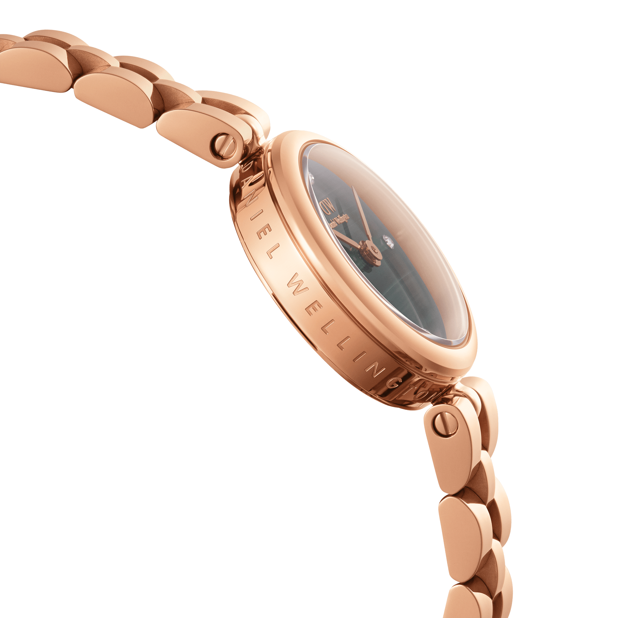 Daniel Wellington Elan Jewellery Watch 22 RG Real Malachite Watch