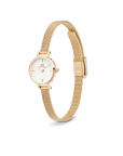 Daniel Wellington Petite Mini Evergold Watch