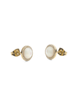 Daniel Wellington Audrey Earrings Mother of Pearl Gold
