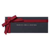 Daniel Wellington Classic 20 Reading Silver Watch Band