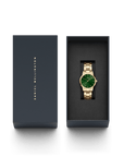 Daniel Wellington Iconic Link Emerald 36 Gold & Green Watch