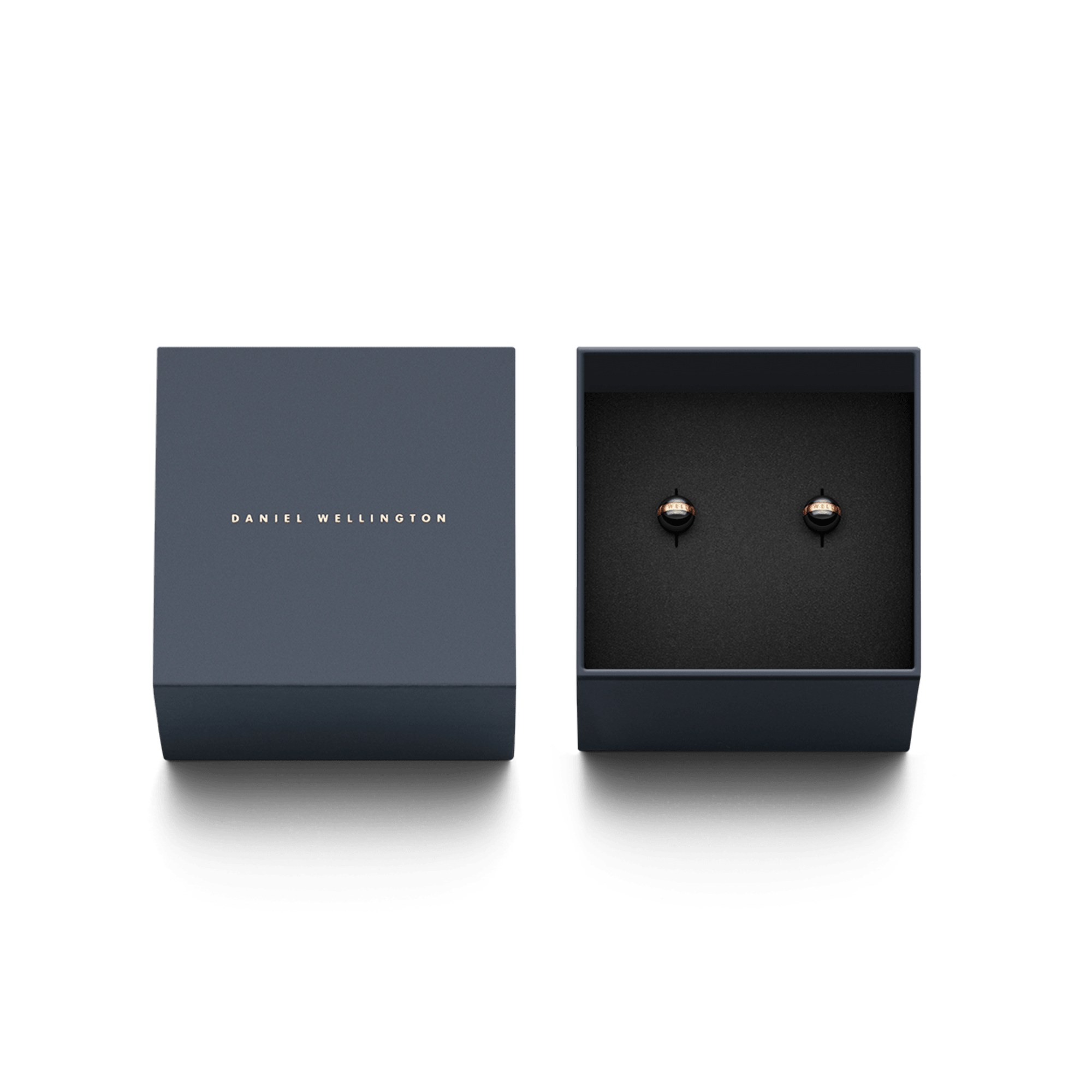 Daniel Wellington Aspiration Earrings