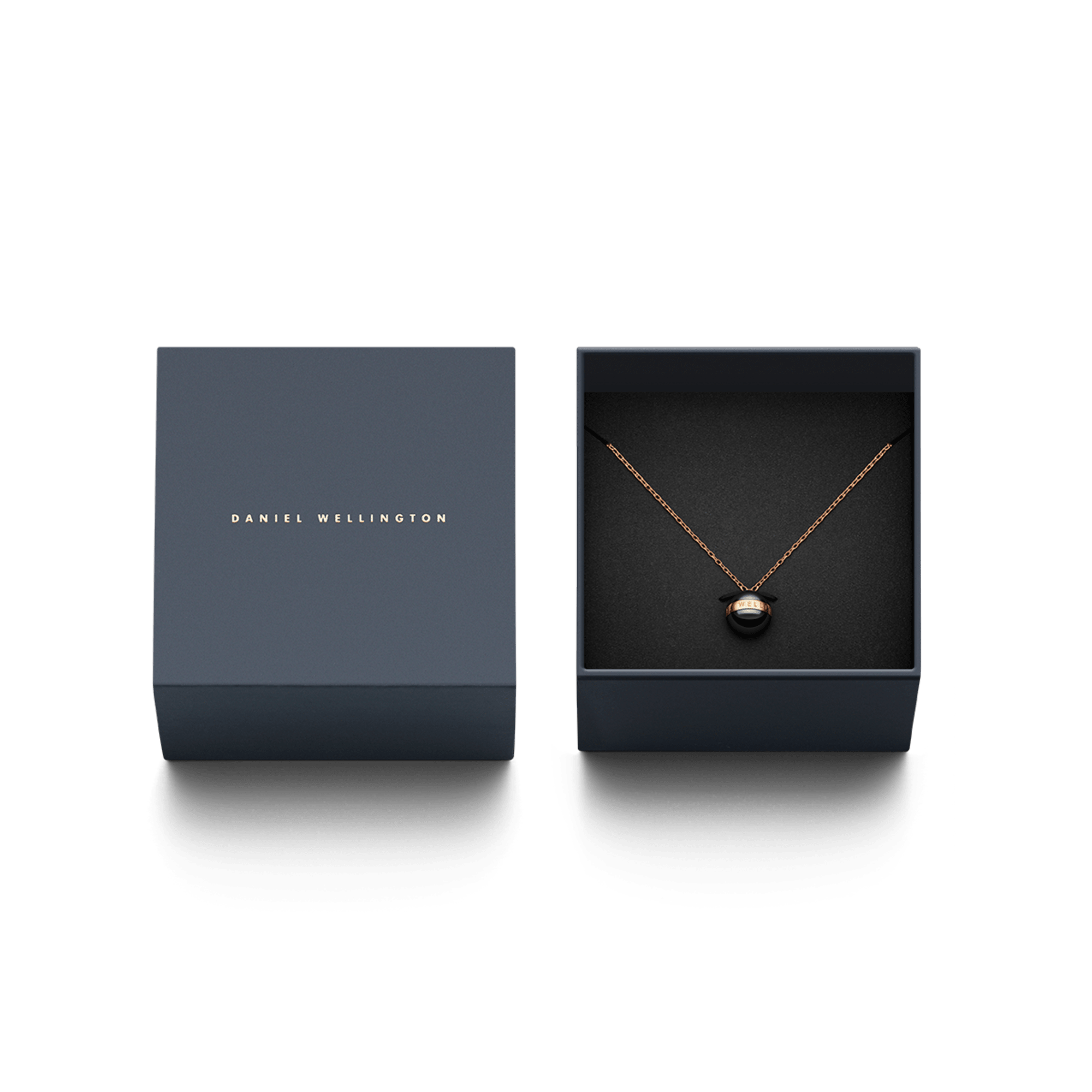 Daniel Wellington Aspiration Necklace Rose Gold