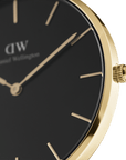 Daniel Wellington Petite 36 Evergold Gold & White Watch