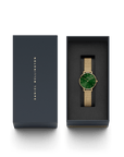 Daniel Wellington Petite Emerald 28 Gold & Green Watch