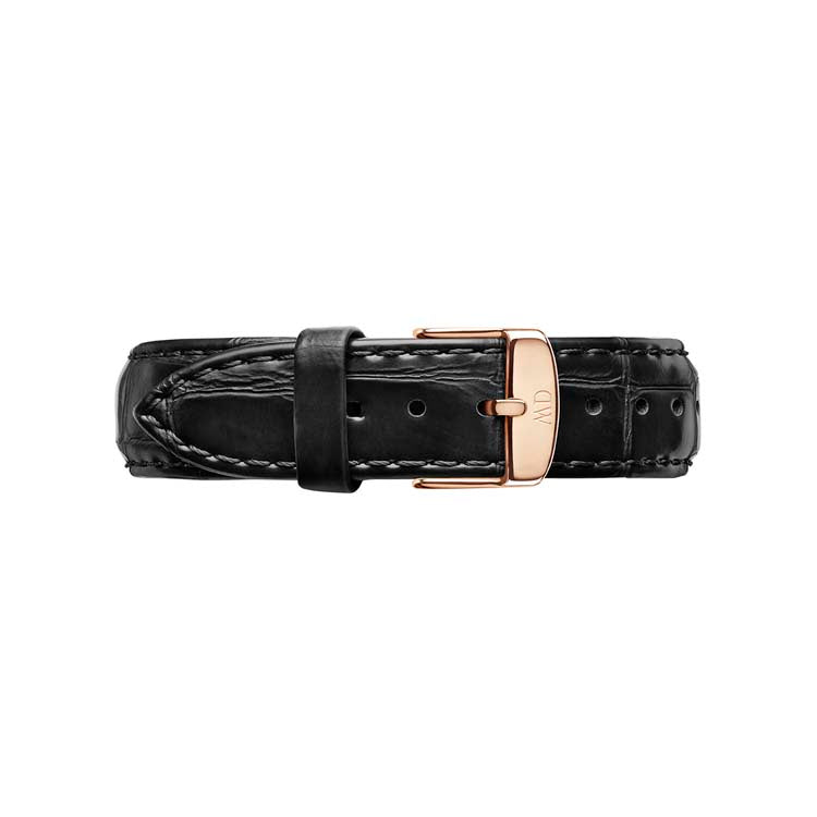 Daniel Wellington Classic 18 Reading Rose Gold Watch Band