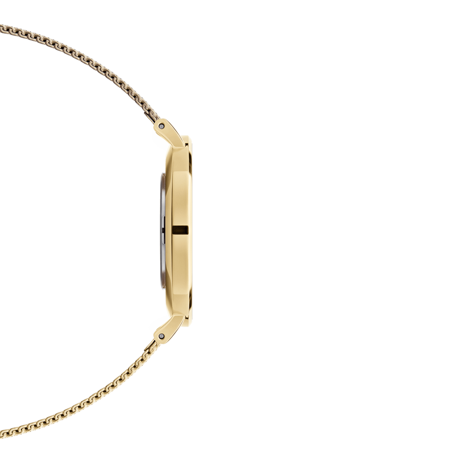 Daniel Wellington Petite 36 Evergold Gold &amp; White Watch