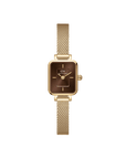 Daniel Wellington Quadro Mini Evergold Amber Watch